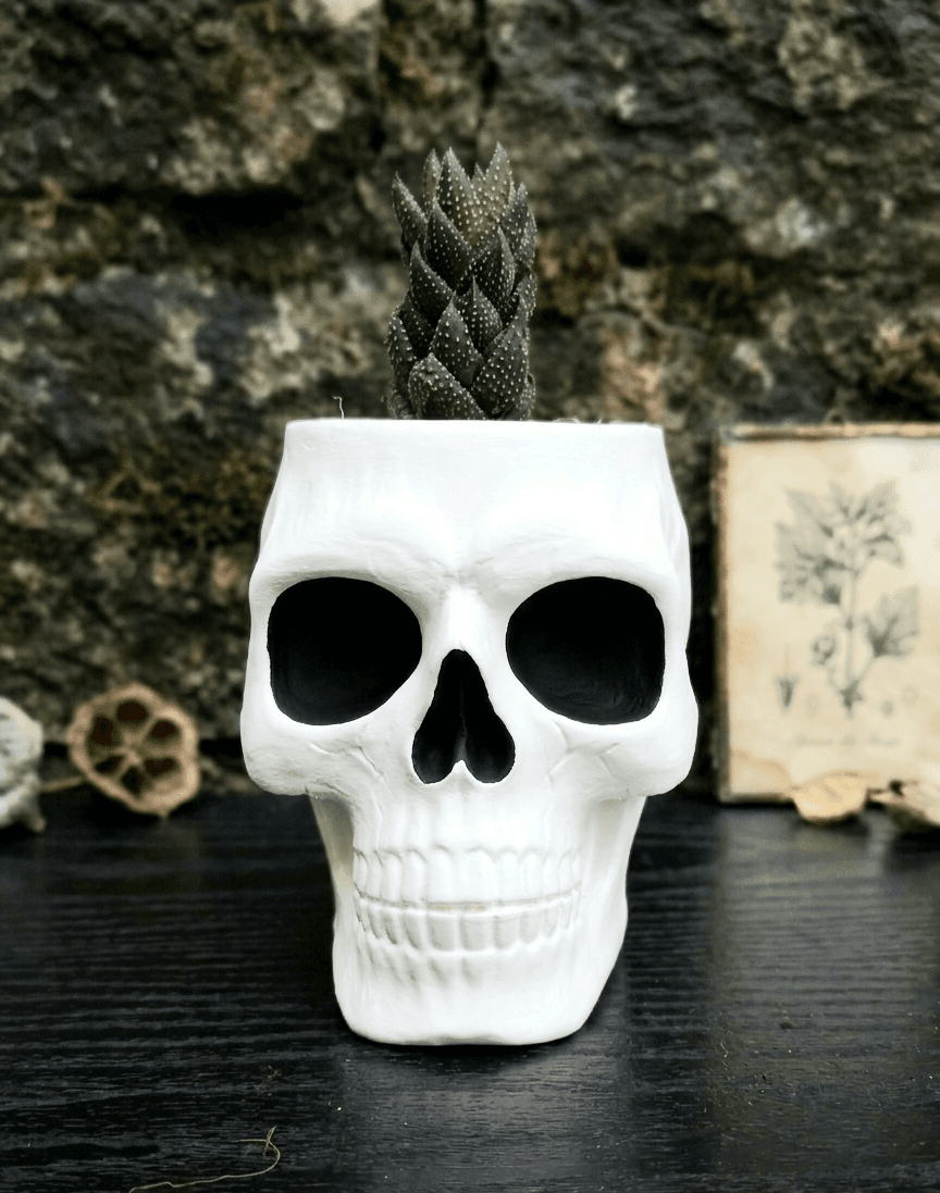 MACETERO / ORGANIZADOR CALAVERA